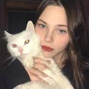 EmberPhoenix EmberPhoenix