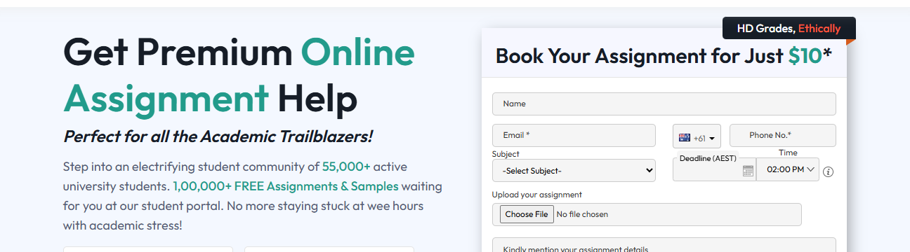 Online Assignment Expert