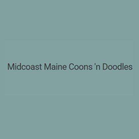 Midcoast Maine Coons N Doodles