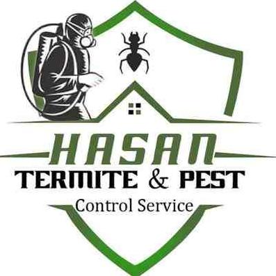 Hasan Termite